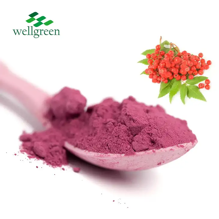 Chokeberry Extract